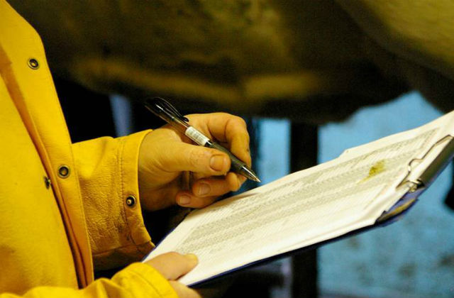 A picture of a vet running an inspection at a farm. 