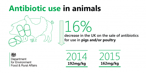 Graph showing there has been a 16% decrease in the UK on the sale of antibiotics for use in pigs and/or poultry