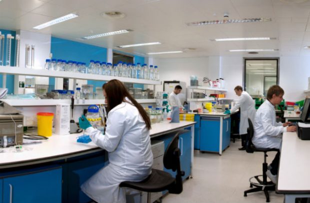 Scientists working in one of the APHA labs in Weybridge