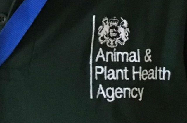 Close up photo of APHA logo on a polo-shirt