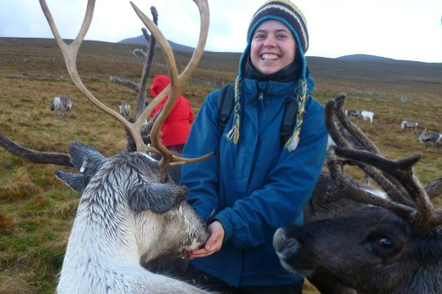 A reindeer eating out of Deborah's hands with another looking at the camera.