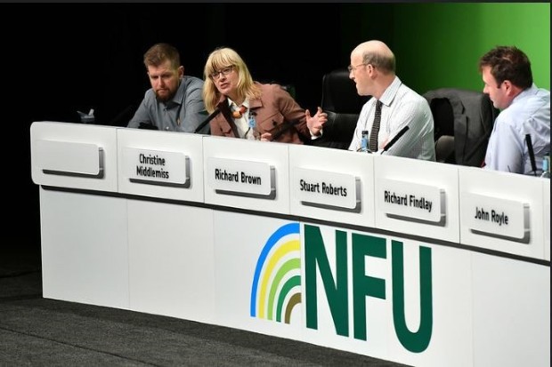 Christine sitting on a panel table with three other people.