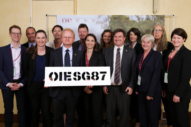 The australian delegation with Mark Schipp centre left with glasses. The sign reads OIESG87.
