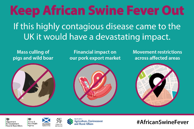 African Swine Fever (ASF) poster highlighting the impacts of ASF, mass culling, financial impact and movement restrictions