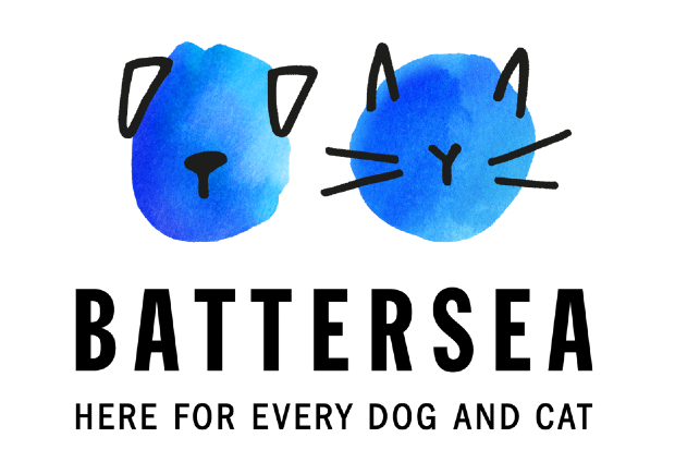 Meet the cats  Battersea Dogs & Cats Home