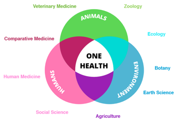 A venn diagram of the three factors of one health, environment, humans and animals