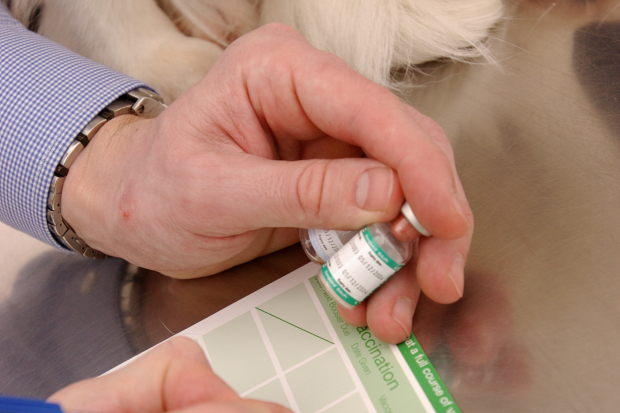 Vet holding a vaccine bottle filling in a form