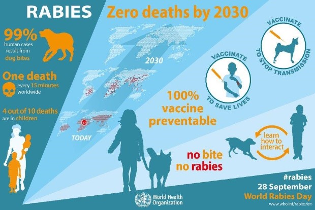 Rabies poster highlighting the role of vaccinations