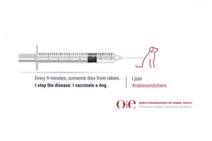 Eliminating Rabies Around the World: World Rabies Day 2020 - Government