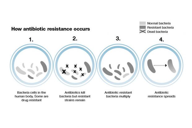 A diagram showing the four stages of AMR development