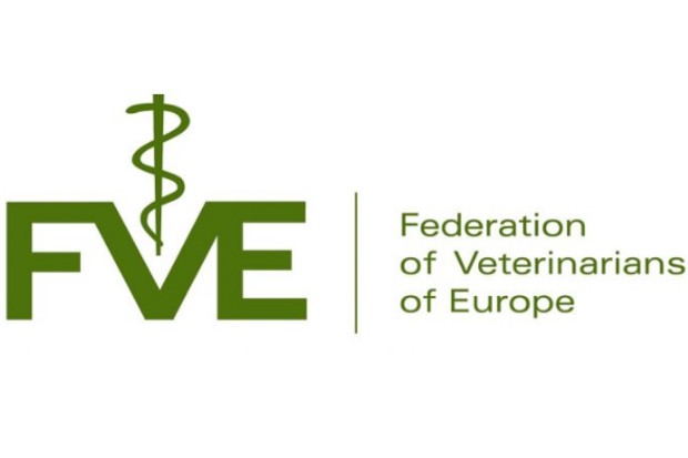 FVE logo
