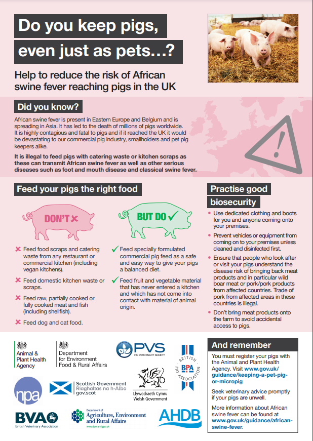 African swine fever poster describing how to reduce the risk of ASF reaching the UK