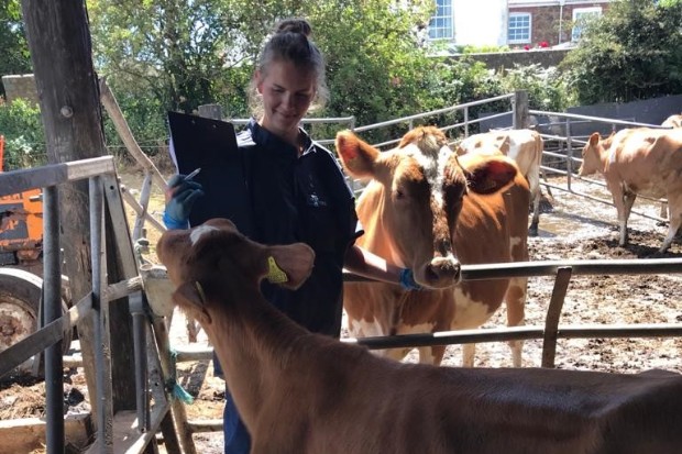 Grace standing with a group of cows